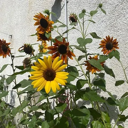 Nice Flat Terrace Big Garden 10min Beach'n'center