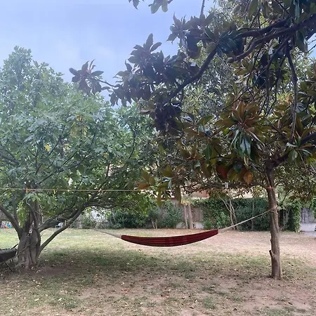 Apartment Nice Flat Terrace Big Garden 10min Beach'n'center Argelès-sur-Mer